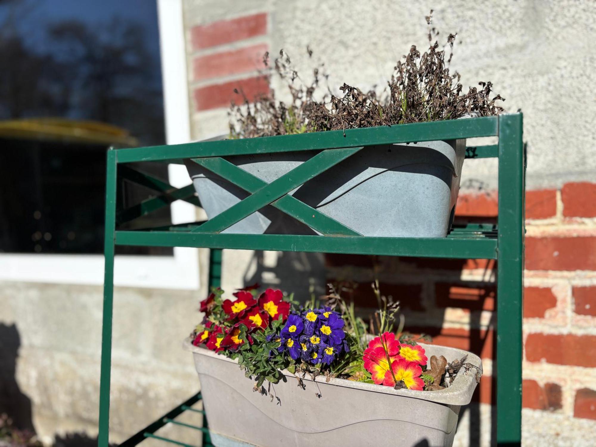 Maison Lumineuse: Spacious Garden Retreat Near Port-en-Bessin Commes Exterior photo